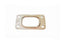 T25 Flange Gasket