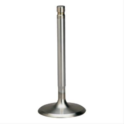 Ferrea Intake Valve; 2.040" Diameter, .3135" Stem, 4.900" LT F6696 TFS-30600211