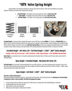 BTR 6.2/6.4 GEN III HEMI VALVE SPRING KIT - .650" LIFT - SK024