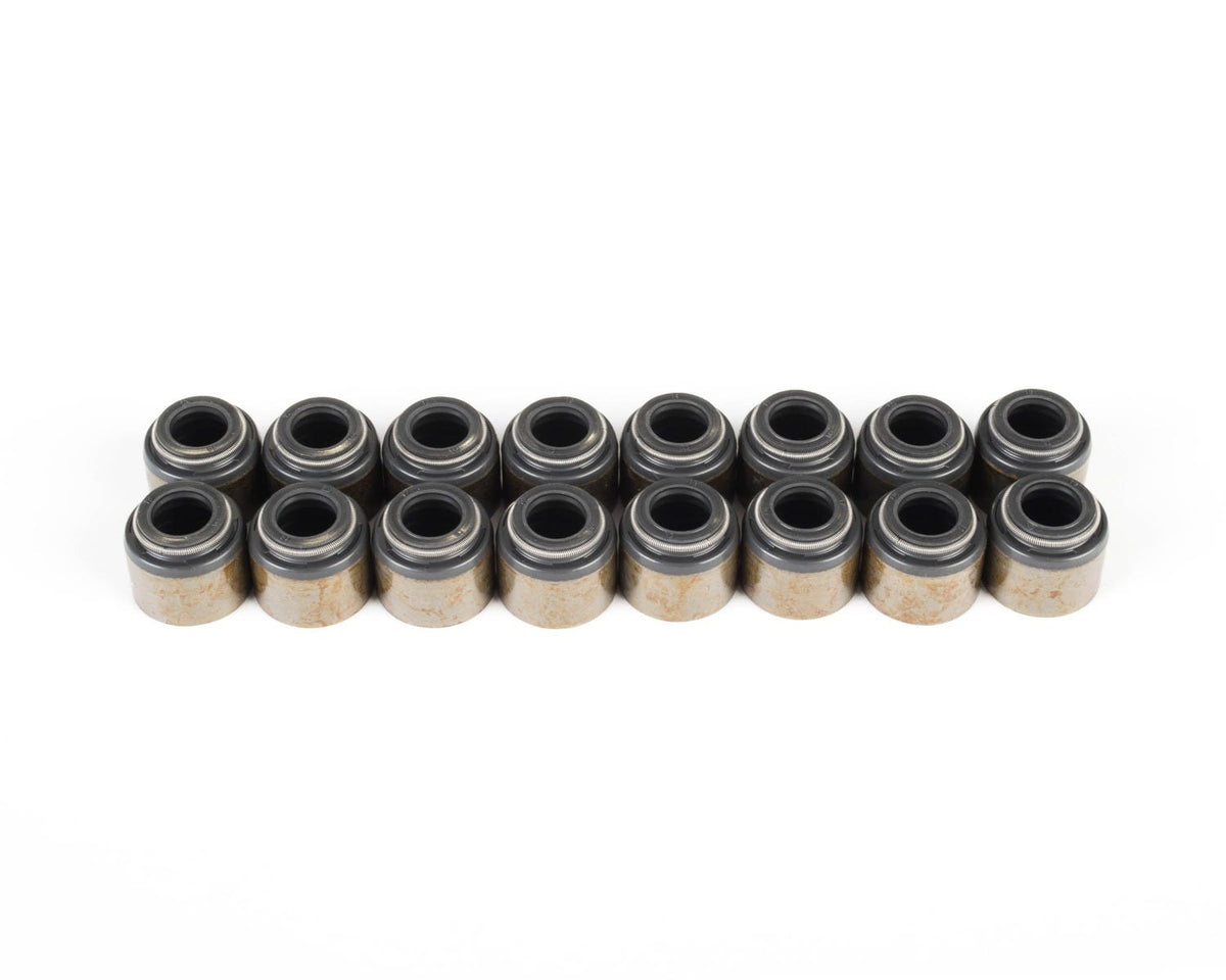 BTR VALVE SEAL KIT - LS - VS LS KIT