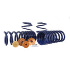 Ford Racing 15-23 Mustang GT/2.3L EcoBoost Fastback Track Lowering Spring Kit (Excl MagneRide Susp) (view 4)