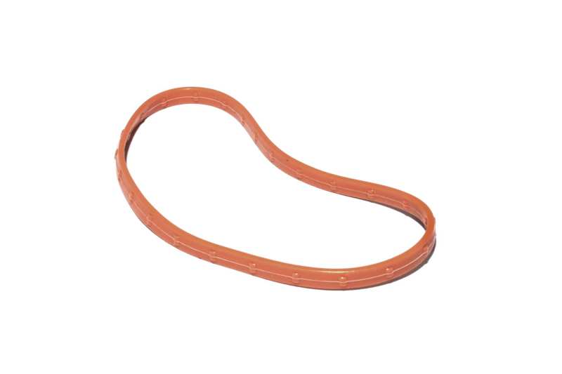 FAST O-Ring Seal For 102MM Throttle Main image
