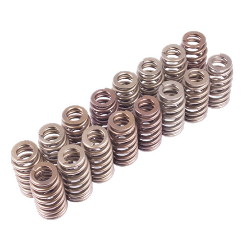 Ford Racing BOSS 302R Valve Spring Kit (view 2)