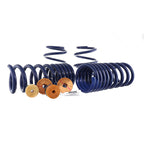 Ford Racing 15-23 Mustang GT/2.3L EcoBoost Fastback Track Lowering Spring Kit (Excl MagneRide Susp) (view 6)