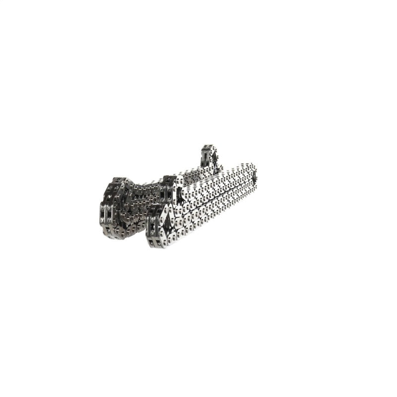 Ford Racing 15-17 GT350R / 5.0L Primary Timing Chain Set (view 6)