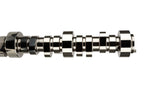COMP Cams Camshaft GM LS1 & LS6 XFI 286 (view 3)