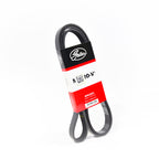 VMP Performance Belt for Coyote w/ Odin/Loki Kit and 3.4in-3.5in Pulley (view 4)