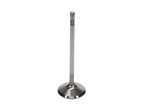 Manley Ford 4.6L 38.5mm Race Master & Extreme Duty Exhaust Valves *Set of 8* (view 3)
