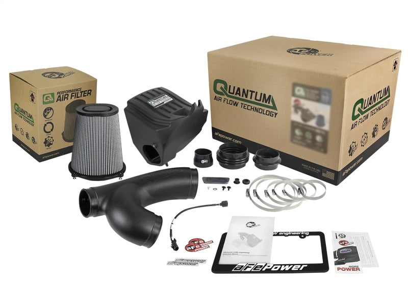 aFe Quantum Pro DRY S Cold Air Intake System 15-18 Ford F150 EcoBoost V6-3.5L/2.7L - Dry (view 10)
