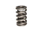 COMP Cams Dual Valve Spring.675in Lift