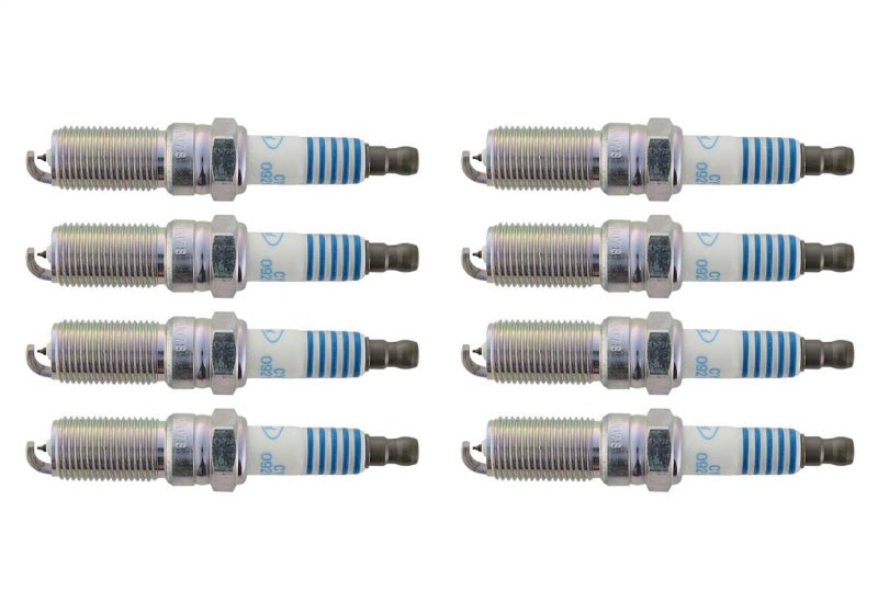 Ford Racing 11-21 Mustang GT 5.0L Cold Spark Plug Set (view 8)