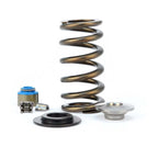 COMP Cams Ford 5.0L Coyote Valve Spring Kit O.D..959in (view 2)