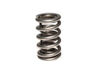 COMP Cams Dual Valve Spring.675in Lift (view 2)